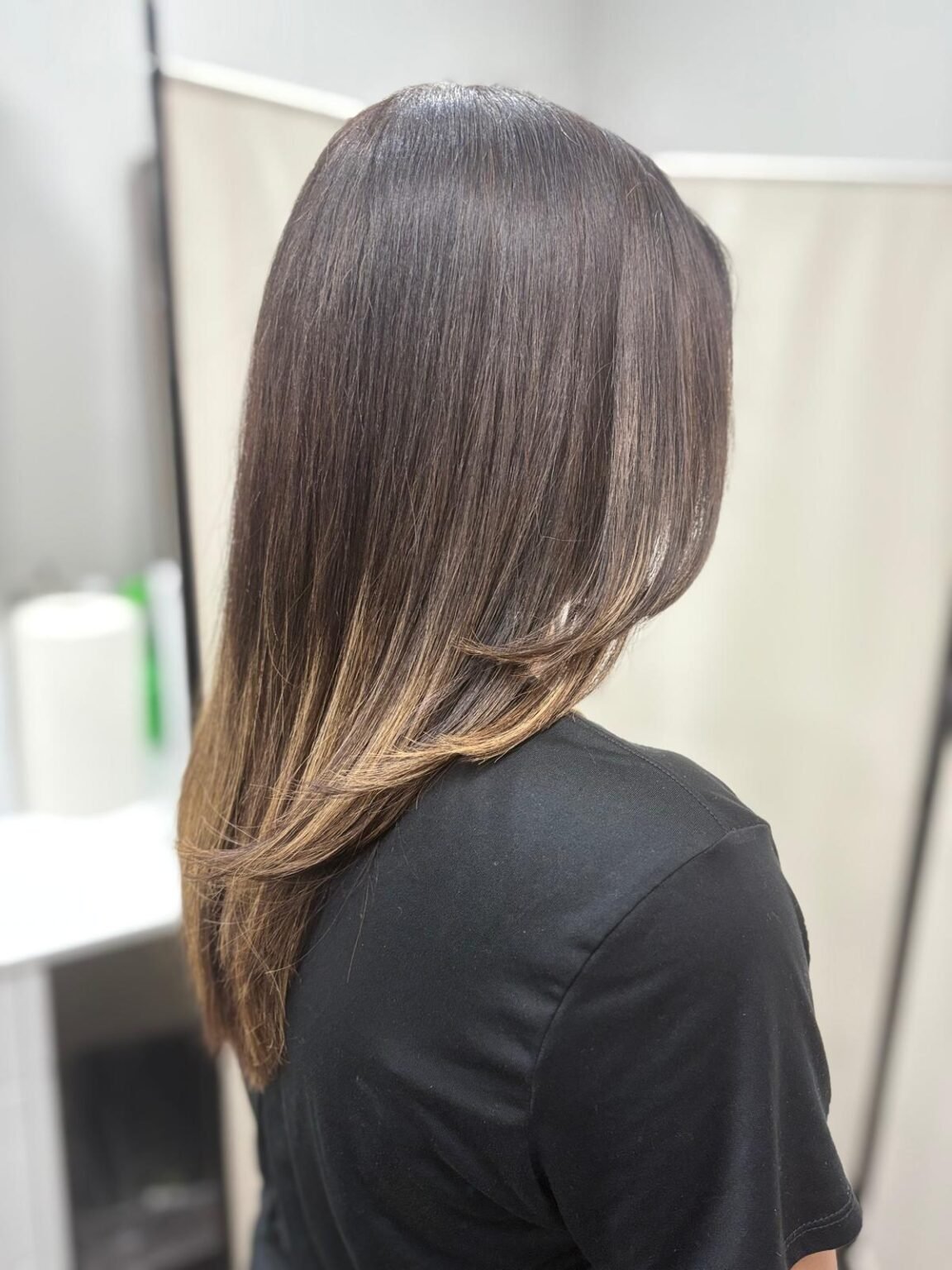 Ombre brunette result